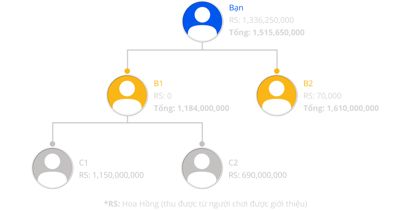 hierarchy banner